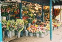 Flower Shop by the Madeleine - 2005